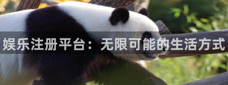 摩根娱乐：娱乐注册平台：无限可能的生活方式