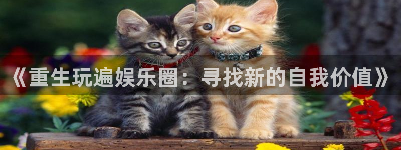 摩根娱乐：《重生玩遍娱乐圈：寻找新的自我价值》