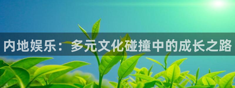 摩根娱乐：内地娱乐：多元文化碰撞中的成长之路