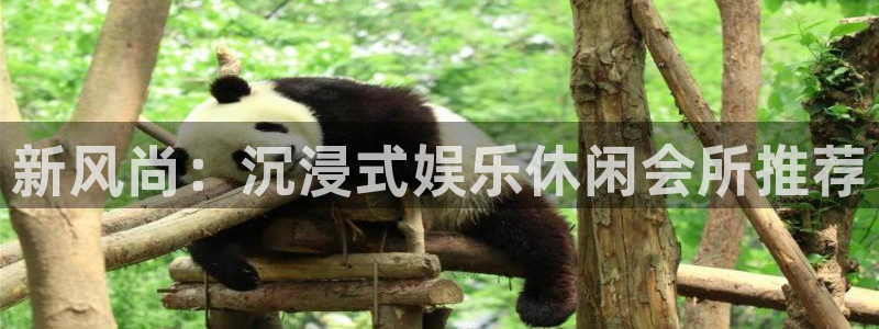 摩根娱乐：新风尚：沉浸式娱乐休闲会所推荐