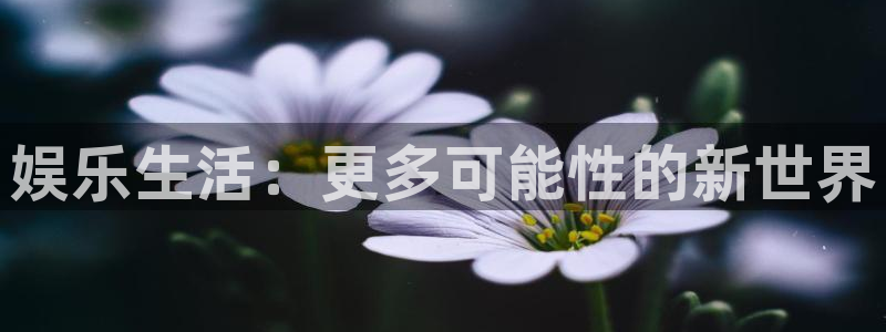 摩根娱乐：娱乐生活：更多可能性的新世界