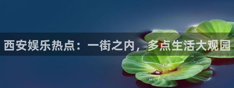 摩根娱乐：西安娱乐热点：一街之内，多点生活大观园